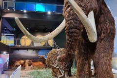 JK_ekspo_Beljaev_2022-3