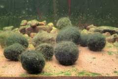 20240522_153752-scaled