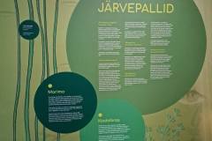 20240522_153818-scaled