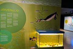 20240522_153852-scaled