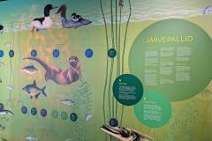 20240522_153925-scaled