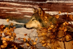 TenTwelve_JaaajaKeskus 43