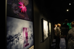 Rasmus-Karja_P-Lauritsa-naituse-avamine_JK-1