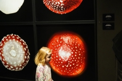 Rasmus-Karja_P-Lauritsa-naituse-avamine_JK-10