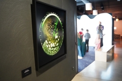 Rasmus-Karja_P-Lauritsa-naituse-avamine_JK-40