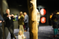 Rasmus-Karja_P-Lauritsa-naituse-avamine_JK-42