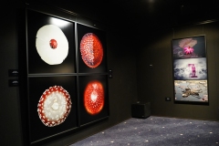 Rasmus-Karja_P-Lauritsa-naituse-avamine_JK-66