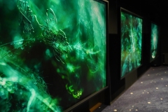 Rasmus-Karja_P-Lauritsa-naituse-avamine_JK-75