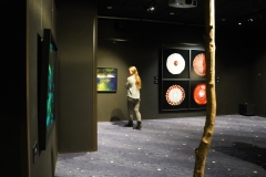 Rasmus-Karja_P-Lauritsa-naituse-avamine_JK-76