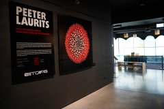 Rasmus-Karja_P-Lauritsa-naituse-avamine_JK-77