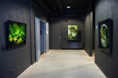 Rasmus-Karja_P-Lauritsa-naituse-avamine_JK-78