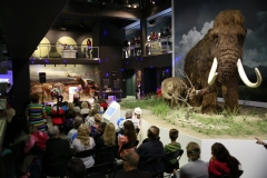 Liis Lemsalu kontsert