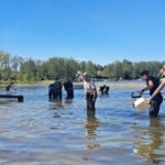 jarveprogramm KBeljaev 29 scaled