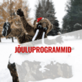 Jõuluprogrammid lastegruppidele