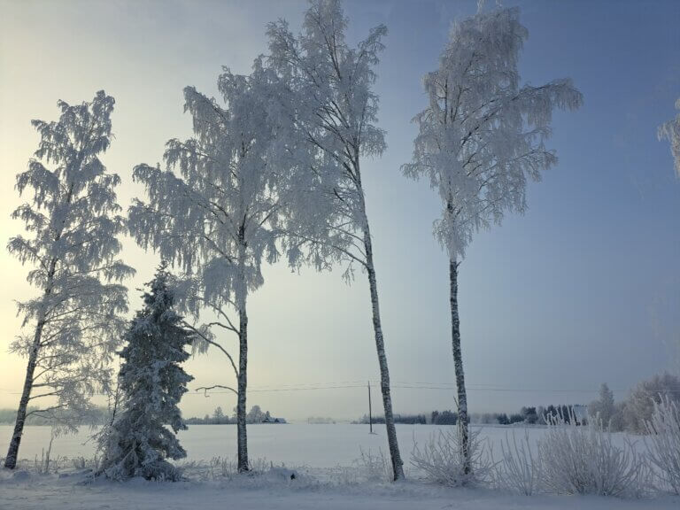 Jääaja Keskus