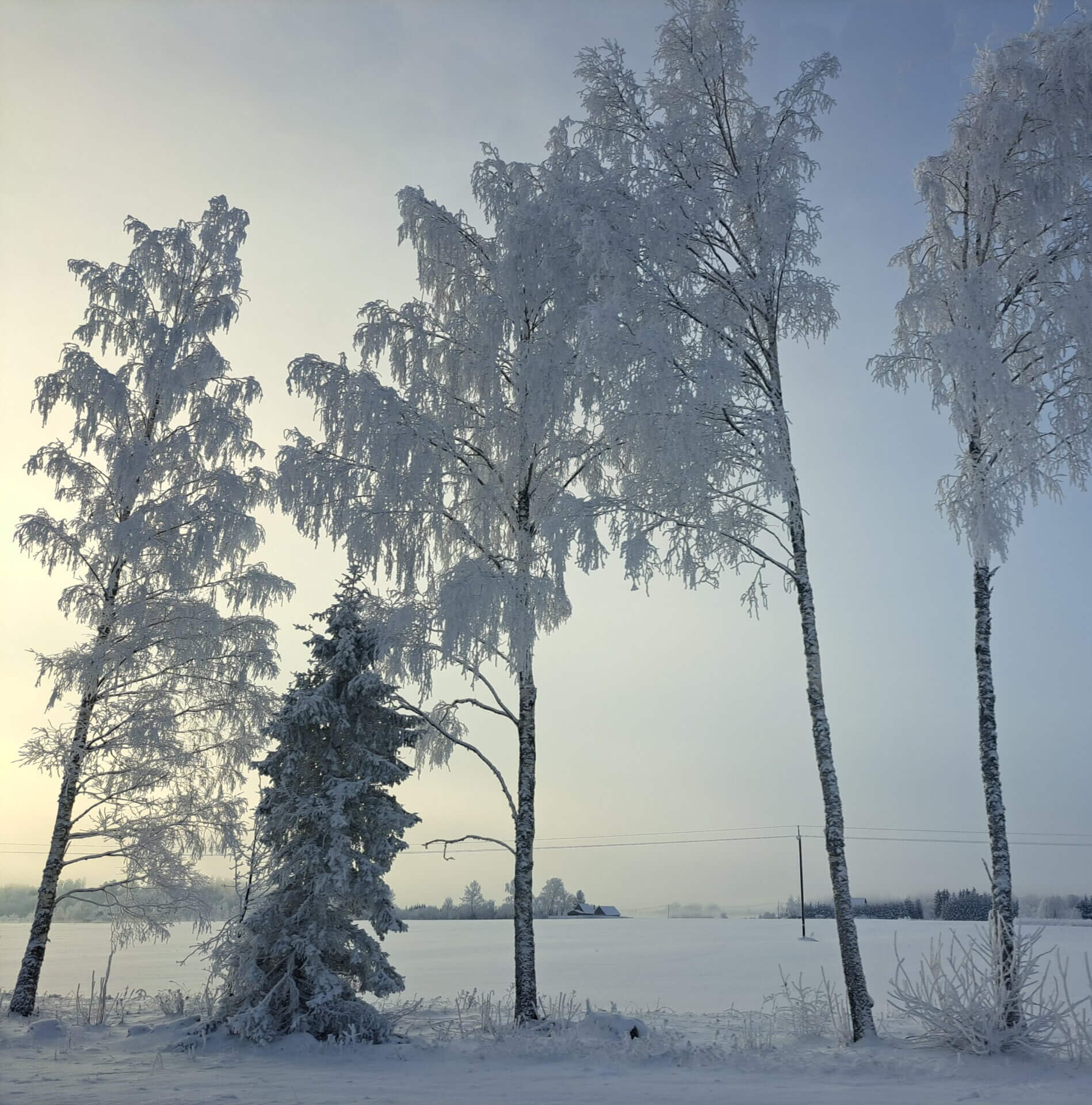 Jääaja Keskus