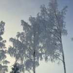 20231205 111039 scaled e1738227326497