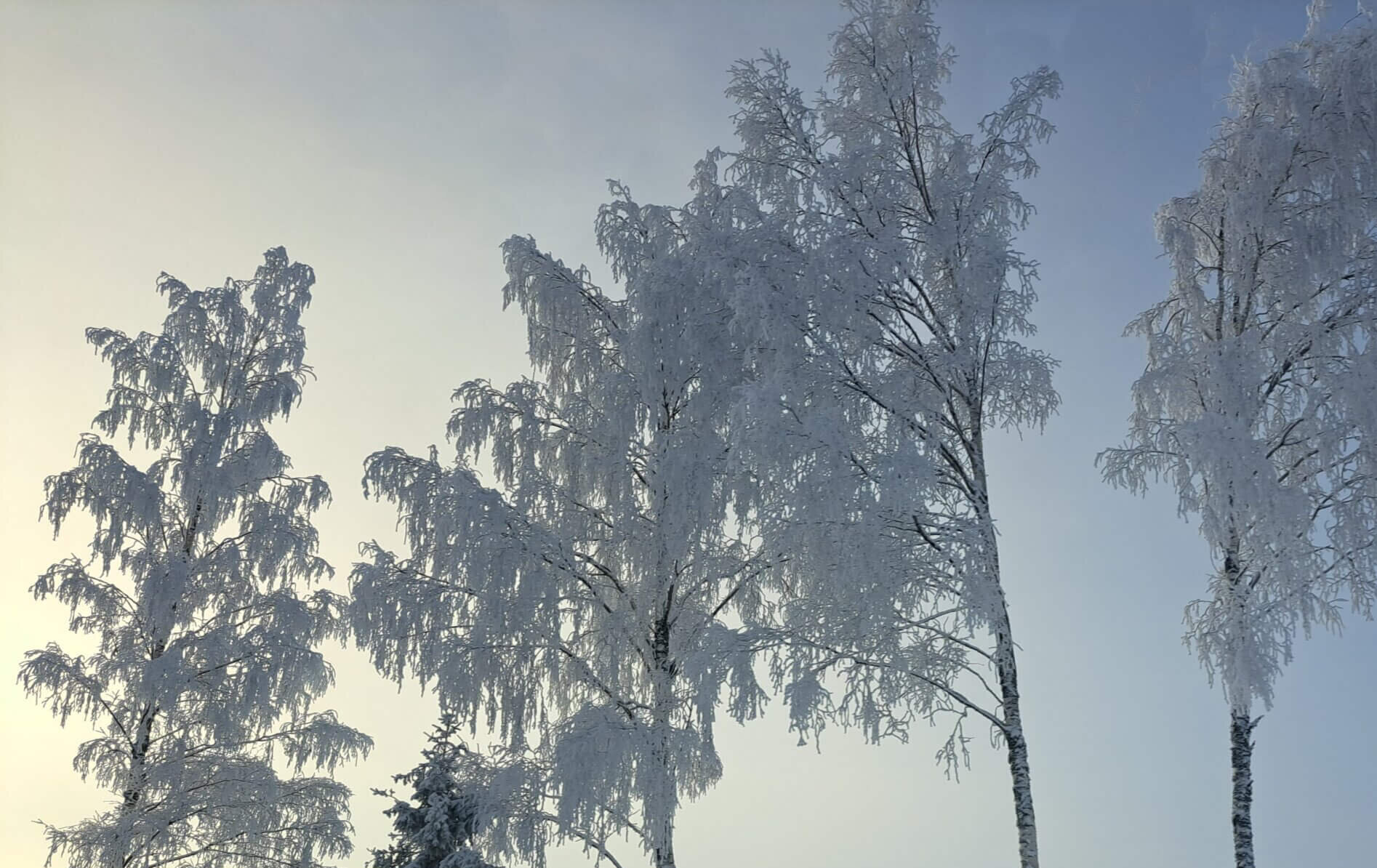 20231205 111039 scaled e1738227326497