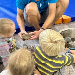 SSepp rändkivi teematuur (4)