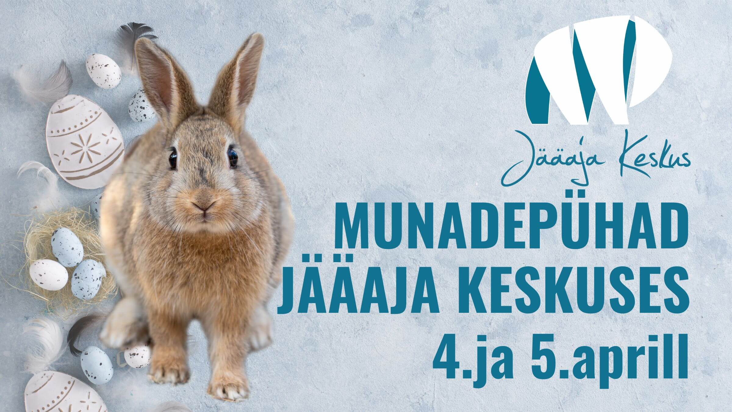 fienta cover kätrin (3)